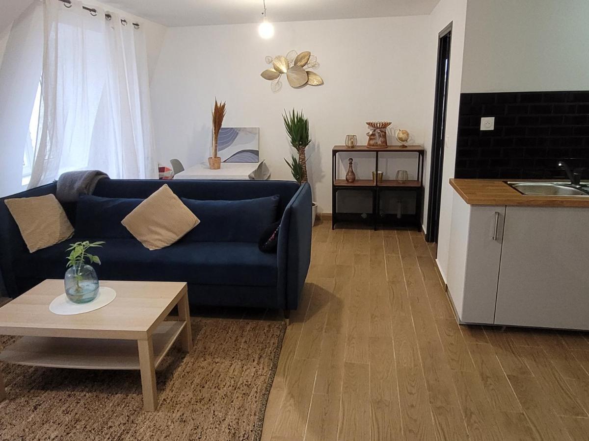 Coquet Appartement A 15Mn De Paris Et 10 Mn De Stade De France, Wifi, Netflix, Groslay エクステリア 写真